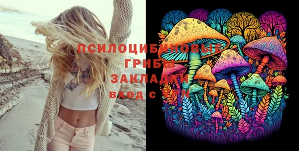 прущие грибы Вязьма