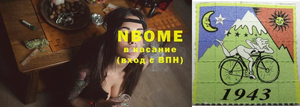 прущие грибы Вязьма