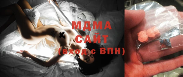 прущие грибы Вязьма