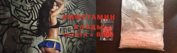 прущие грибы Вязьма