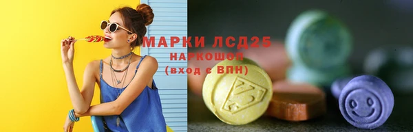 прущие грибы Вязьма