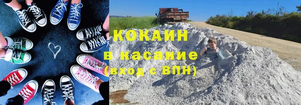 прущие грибы Вязьма