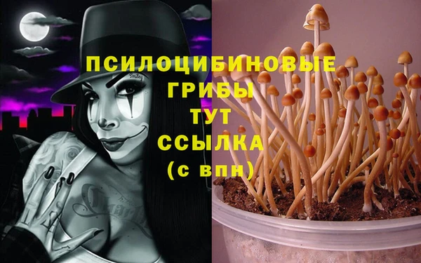 jwh Вяземский