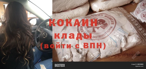 прущие грибы Вязьма