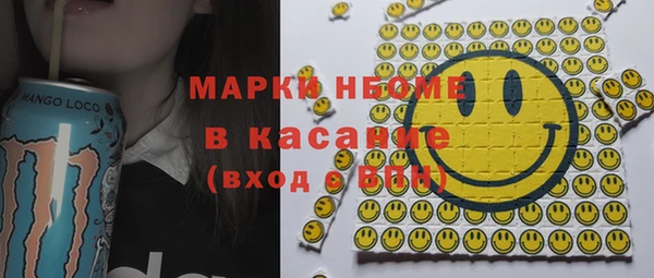 прущие грибы Вязьма