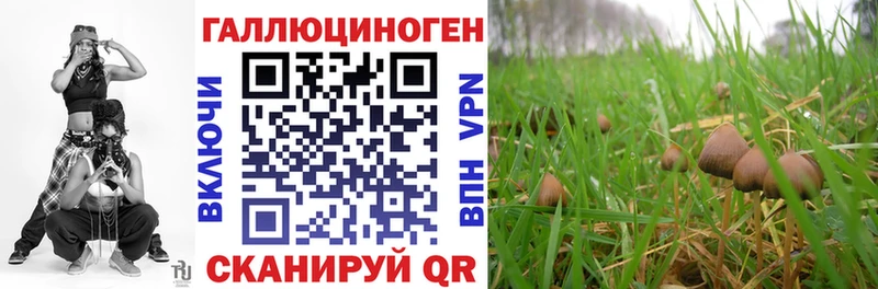 сколько стоит MEGA как войти Галлюциногенные грибы MAGIC MUSHROOMS Москва